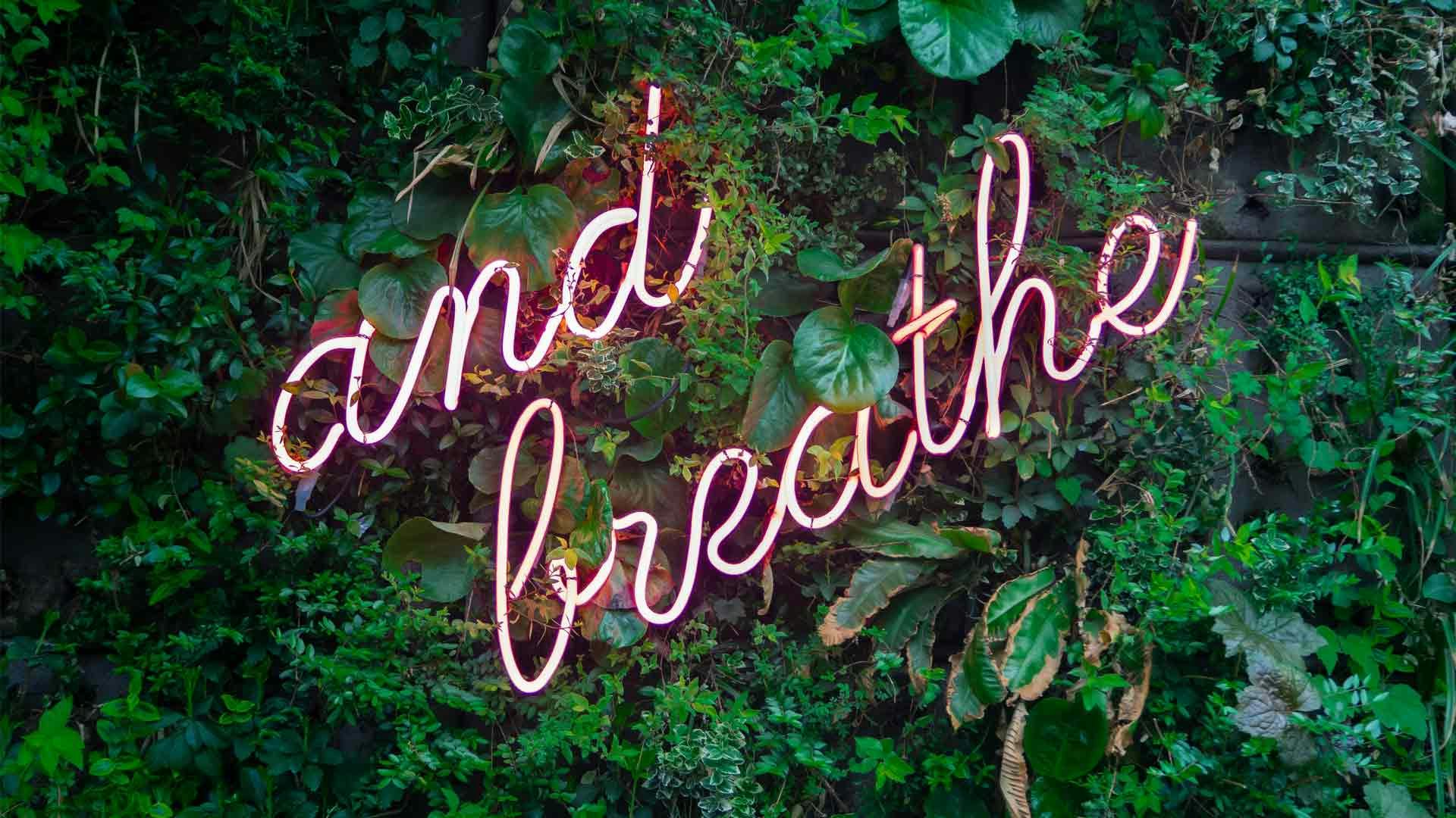 Neon Sign That Reads And Breathe